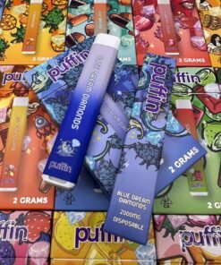 Puffin Blueberry Cookies 2g