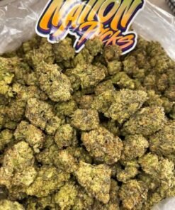 Biscotti x Runts strain combines sweet, fruity flavors with a relaxing, euphoric high, perfect for stress relief and creativity.