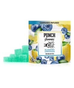 PUNCH GUMMIES- BLUEBERRY LEMONADE