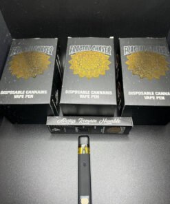 Buy fractal chaser 1g disposable online - Best Dispo Vape Ho