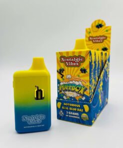 Buy nostalgic vibes 2G Disposable Online - Disposable Vape H