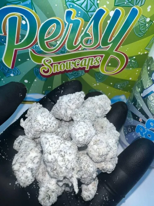 Buy Persy Snow Caps in stock now for sale, Aloha Farms Carts for sale, Piff Bars 3G Tropical Edition, buy Big Chief Live Resin Disposable Vape.
