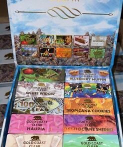 GOLD COAST CLEAR SMOKERS CLUB EDITION (BIG BOX 100 COUNT)