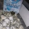 Buy Ice Caps MoonRock in stock now for sale, Boutiq Dual Tank Switch Disposable for sale, buy Piff Bars 3G Tropical Edition in stock.