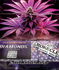 Buy Clean Carts Purple Edition in stock now for sale, Clean Carts Red Edition 2g Disposable | 100 CT Box in stock near you.