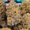GATOR BREATH Indica-Dominant THC: 23.583% Organic/AAA DEPS