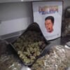 Buy Dutt Pack Weed Strawberry Champagne Pound Wholesale in stock for sale, Ace Ultra Premium for sale here, buy Cali Plug Live Resin Disposables in stock.