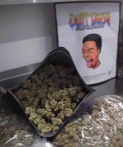 Buy Dutt Pack Weed Strawberry Champagne Pound Wholesale in stock for sale, Ace Ultra Premium for sale here, buy Cali Plug Live Resin Disposables in stock.
