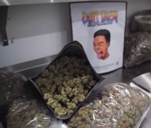 Buy Dutt Pack Weed Strawberry Champagne Pound Wholesale in stock for sale, Ace Ultra Premium for sale here, buy Cali Plug Live Resin Disposables in stock.