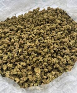 Buy Trop Cherry Weed Strain in stock now for sale, Besos Gold Disposable for sale, Hitz Gen 5 Disposable Bulk for sale, Hitz Final Edition in stock.