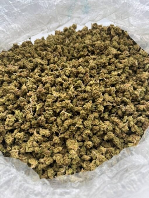 Buy Trop Cherry Weed Strain in stock now for sale, Besos Gold Disposable for sale, Hitz Gen 5 Disposable Bulk for sale, Hitz Final Edition in stock.