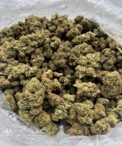 Buy Blueberry Gelato Weed Strain in stock now for sale, Trop Cherry Weed Strain Bulk for sale, Hitz Gen 5 Disposable Bulk in stock.