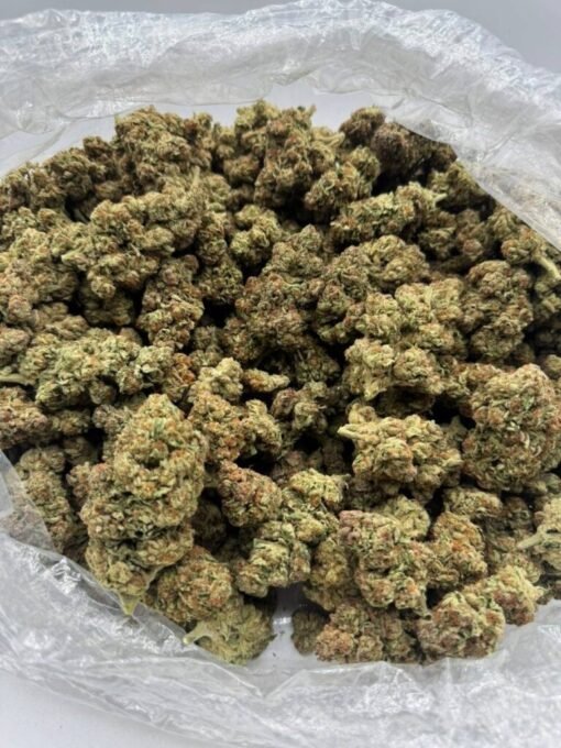 Buy Blueberry Gelato Weed Strain in stock now for sale, Trop Cherry Weed Strain Bulk for sale, Hitz Gen 5 Disposable Bulk in stock.