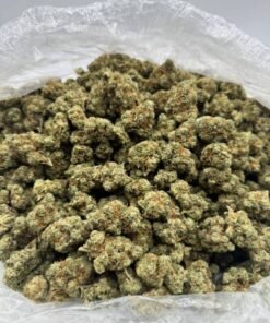 Buy Ghost OG Weed Strain in stock now for sale, Hitz Gen 5 Disposable Bulk for sale, Blueberry Gelato Weed Strain Bulk in stock near you.