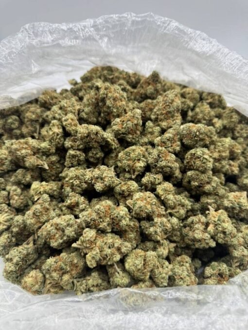 Buy Ghost OG Weed Strain in stock now for sale, Hitz Gen 5 Disposable Bulk for sale, Blueberry Gelato Weed Strain Bulk in stock near you.