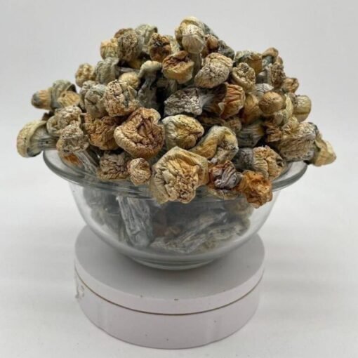 Buy Pieorgie Mushroom in stock now for sale, Trippy Bomb Shroom Chocolate Bar for sale, buy Muha Meds Hash Rosin Super Boof | Sativa for sale.